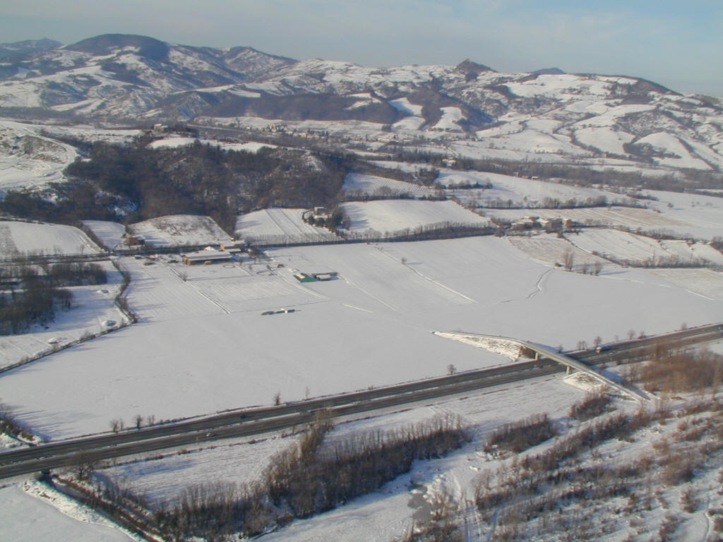 2006 (7)